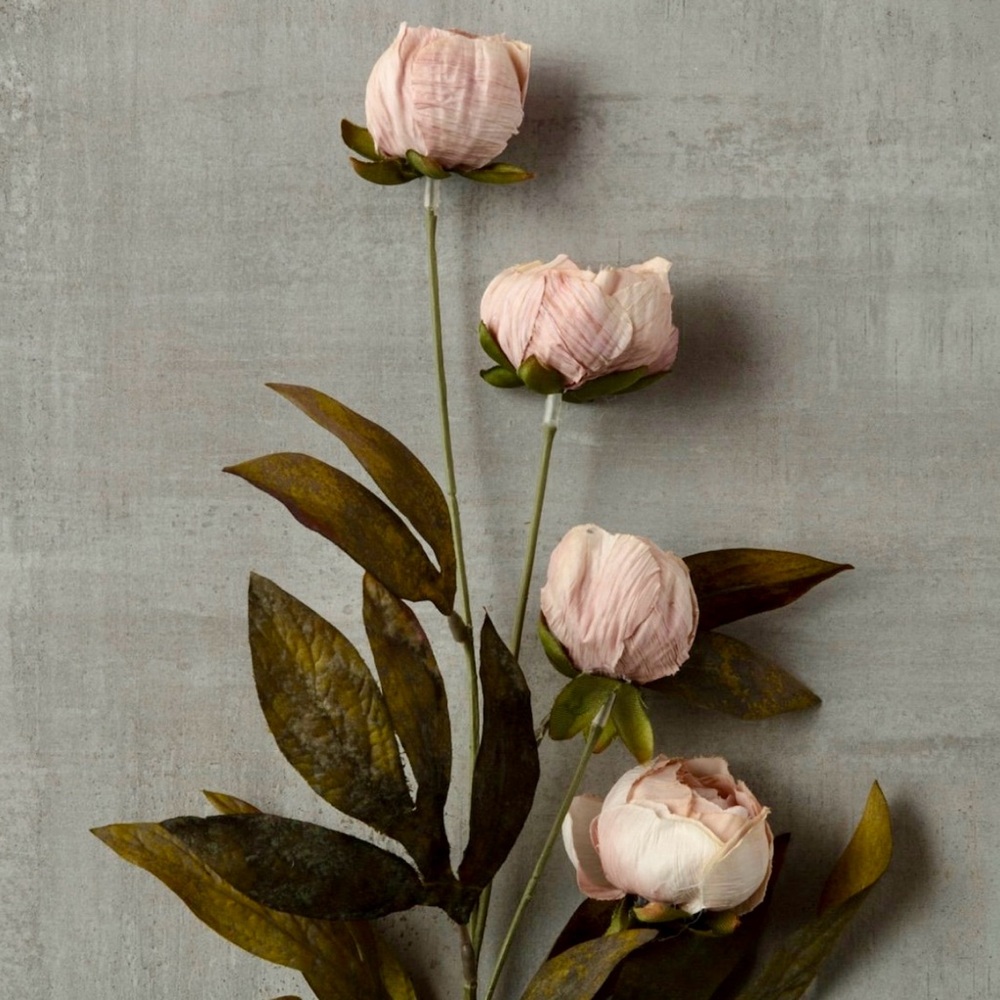 Viral Tan Peony Stems by Ashland Arrangement in rustic brown vase. - Picture 2 of 6
